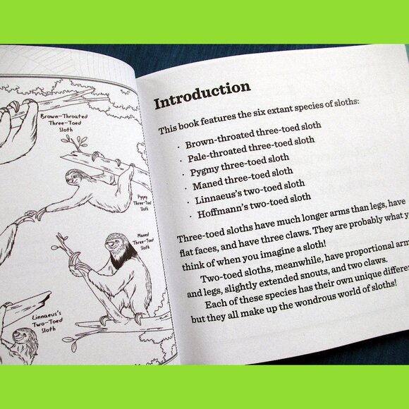 Book: Life Lessons from a Sloth, by Heneghan, Mills, & Sturgeon - Picture 2 of 13